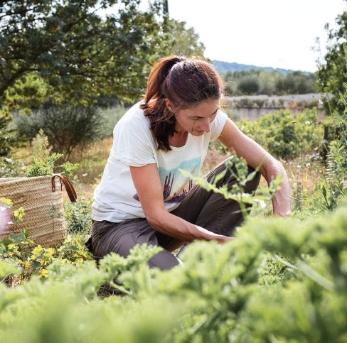 Rencontrez nos producteurs : Estelle, productrice de plantes aromatiques