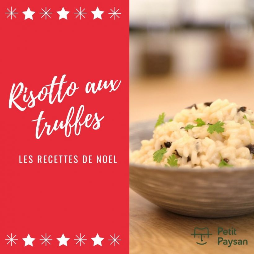 Risotto aux truffes