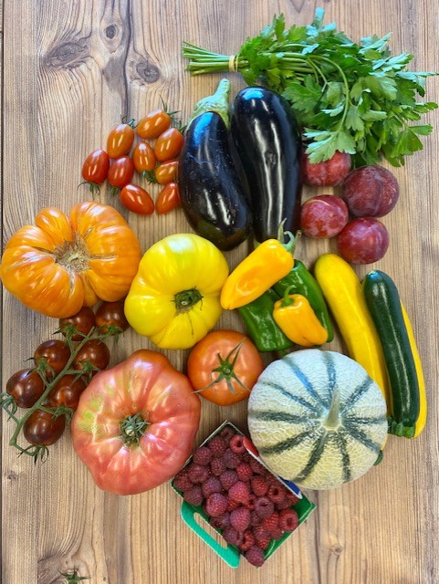 Comment bien choisir ses fruits et légumes d’été