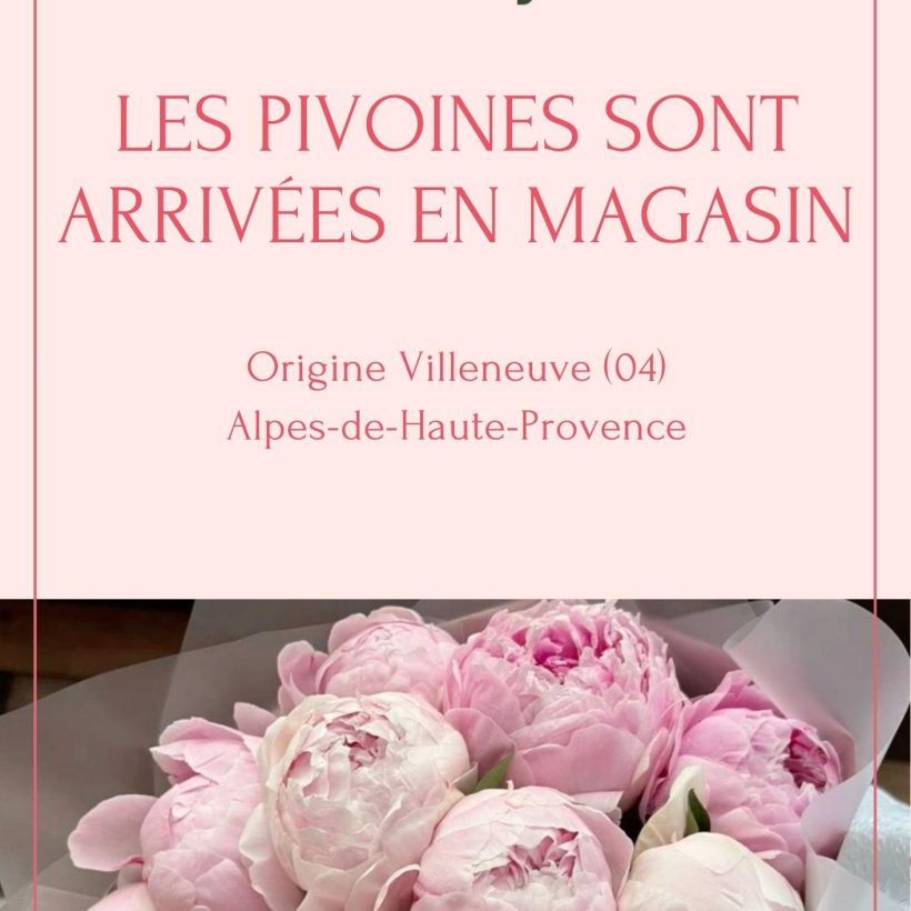 ARRIVAGE DES PIVOINES !